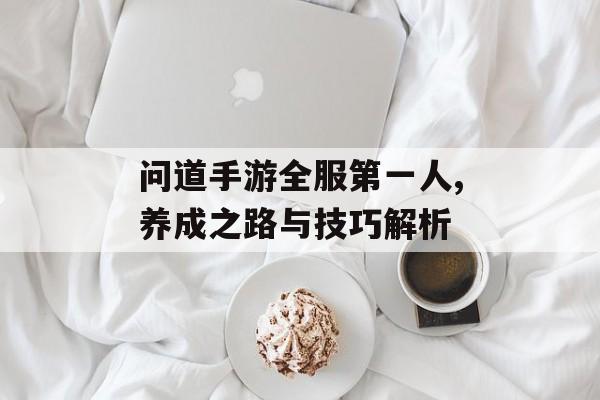 问道手游全服第一人,养成之路与技巧解析