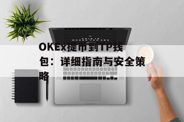 OKEx提币到TP钱包：详细指南与安全策略