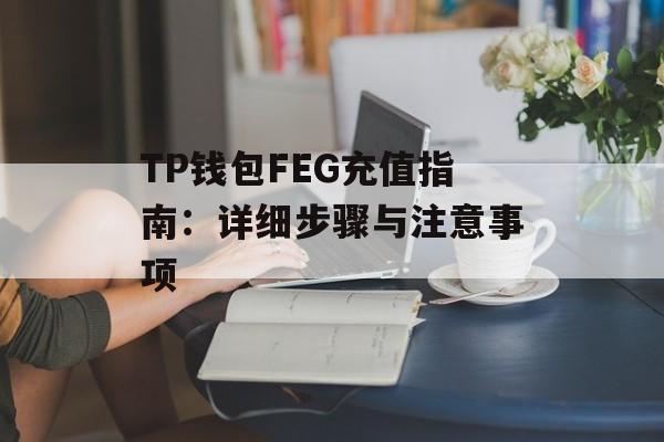 TP钱包FEG充值指南：详细步骤与注意事项